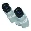 Oculare microscop