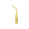 Ansa detartraj Woodpecker LED