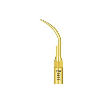 Ansa detartraj Woodpecker LED