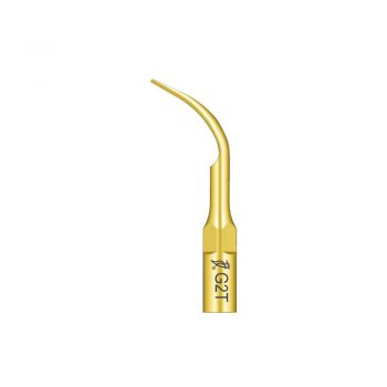Ansa detartraj Woodpecker LED
