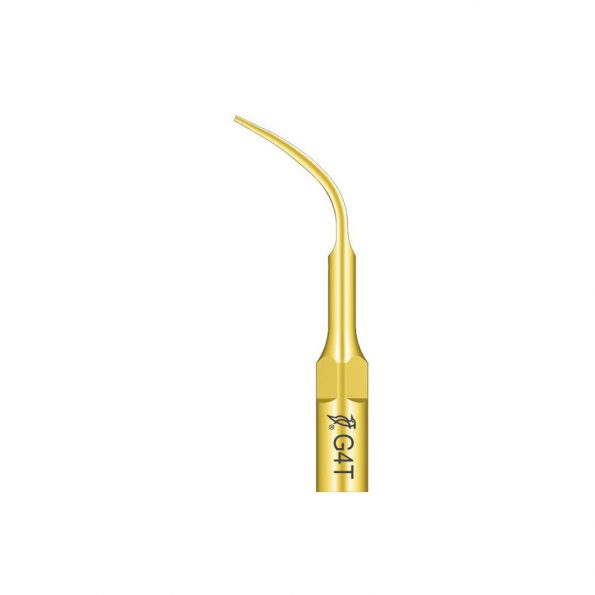 Ansa detartraj Woodpecker LED