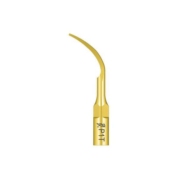 Ansa detartraj Woodpecker LED