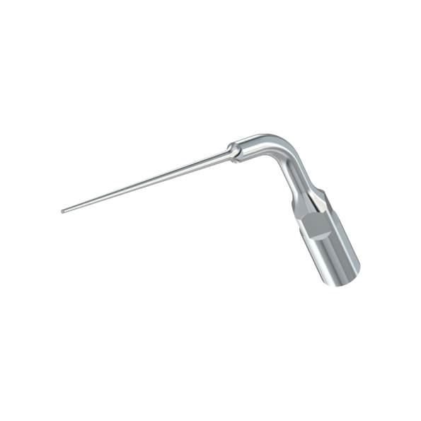ansa detartraj endodontie E4
