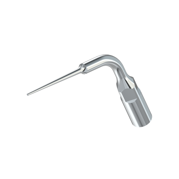 ansa detartraj endodontie E5