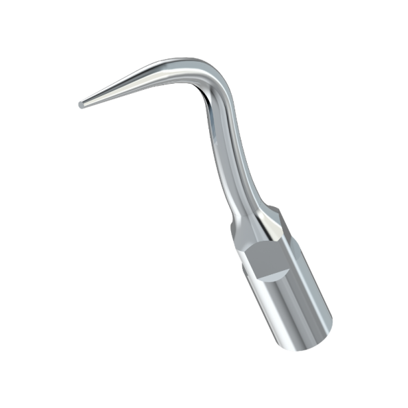 ansa detartraj parodontologie P4