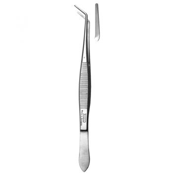 pensa dentaravarf neted